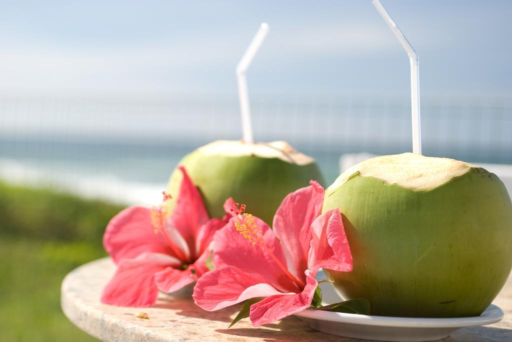 Oyo Hotel Arembepe Beach Hotel, Camacari Εξωτερικό φωτογραφία